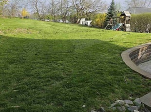 Matias J.'s Lawn Mowing service result
