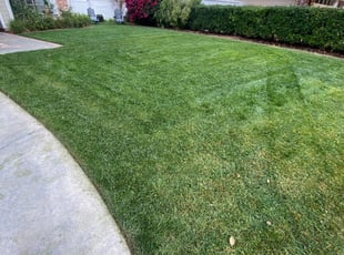 Lynda S.'s Yard Cutting service result