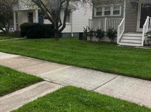 Doris H.'s Lawn Service service result