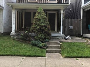 Tonya M.'s Lawn Mowing service result