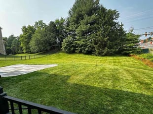 Kathryn B.'s Lawn Maintenance service result