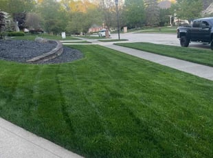David A.'s Grass Cutting service result