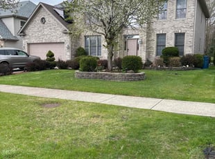 Monique F.'s Yard Cutting service result