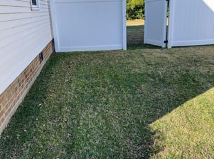 Seattle WA Lawn Care Service Lawn Mowing from 19 Best of 2024