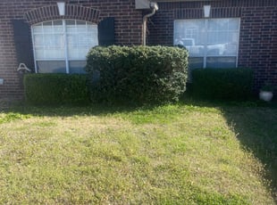 Lawn mowing and new arrivals maintenance near me
