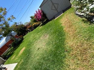 Seattle WA Lawn Care Service Lawn Mowing from 19 Best of 2024