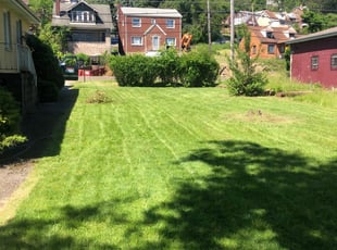 Dean R.'s Lawn Mowing Service service result