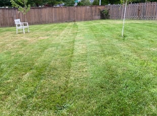 Michelle B.'s Lawn Mowing service result