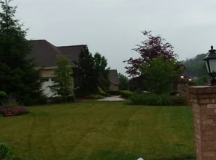 Harry H.'s Yard Cutting service result