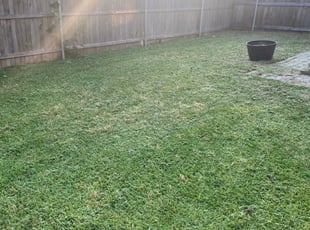 Sussex, NJ Lawn Care Service | Lawn Mowing from $19 | Best of 2024