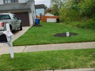 Anna S.'s Lawn Service service result