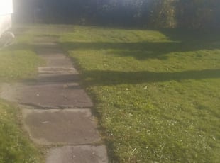 Carol C.'s Lawn Maintenance service result