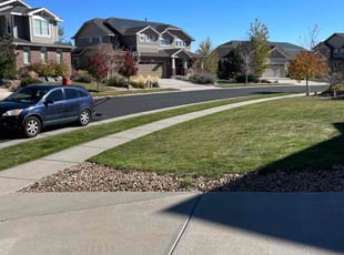 Barb H.'s Grass Cutting service result