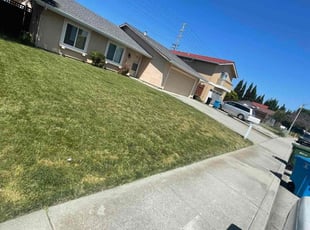 Mark S.'s Yard Cutting service result