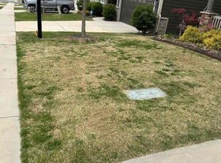 Best Lawn Care Service In My Area Walnut thumbnail