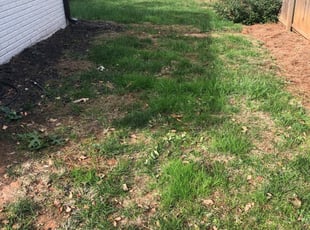 South El Monte Residential Lawn Mowing Service thumbnail