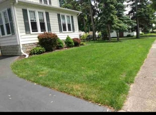 Dora K.'s Lawn Mowing Service service result