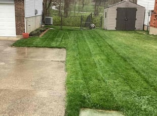 Allison M.'s Lawn Service service result
