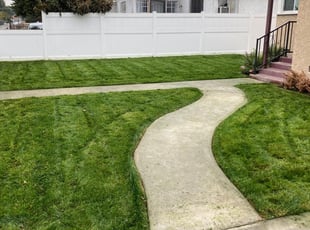 Alex S.'s Lawn Care service result
