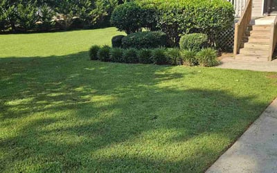 Photo of Deana G.'s yard after getting tree care in Winder, GA