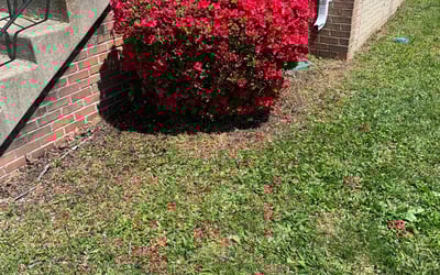 Photo of Rose B.'s yard after getting landscaping in Harpers Ferry, WV