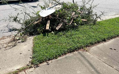 Photo of Stephanie V.'s yard after getting landscaping in Diggs, VA