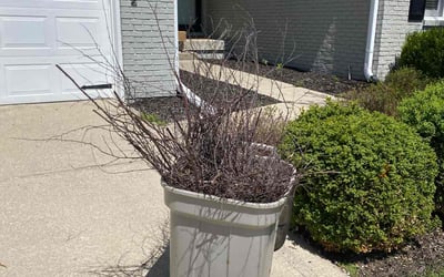 Photo of Chris S.'s yard after getting landscaping in Alexandria, IN