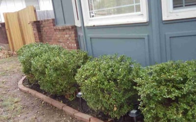 Photo of Brandon B.'s yard after getting landscaping in Wellington, MO