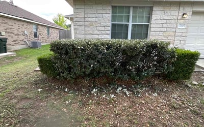 Photo of Tiffany H.'s yard after getting landscaping in Kyle, TX