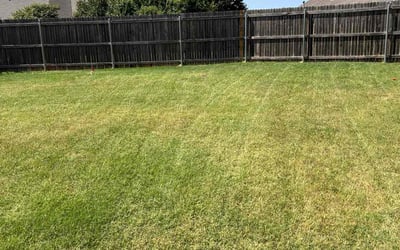 Photo of Alesha B.'s yard after getting landscaping in Stroud, OK