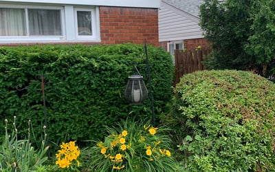 Photo of Brenda P.'s yard after getting landscaping in Mcdonald, PA