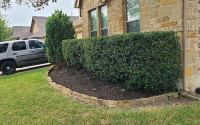 Photo of Jon C.'s yard after getting landscaping in Staples, TX
