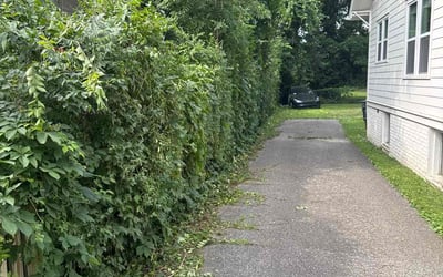 Photo of Mason M.'s yard after getting landscaping in Nashville, TN