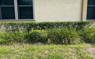 Photo of Michael M.'s yard after getting landscaping in Geneva, FL