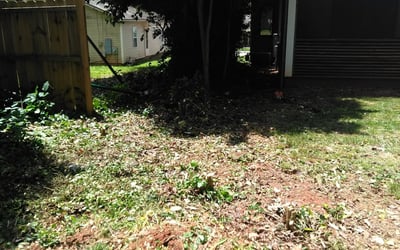 Photo of John S.'s yard after getting landscaping in Smyrna, SC