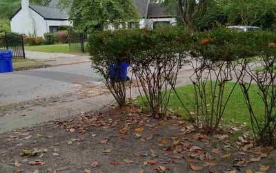 Photo of Miranda P.'s yard after getting lawn care in Gloucester, VA