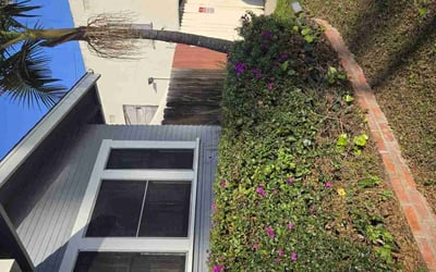 Photo of Mathilde T.'s yard after getting landscaping in Carlsbad, CA