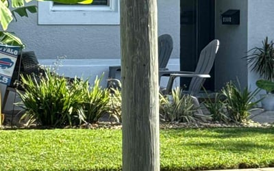 Photo of Anthony S.'s yard after getting landscaping in Tampa, FL