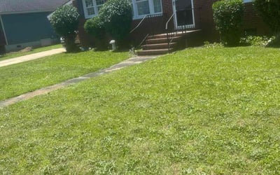 Photo of Thomas P.'s yard after getting landscaping in Clayton, NC