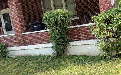 Photo of Carlenea K.'s yard after getting landscaping in Goshen, OH