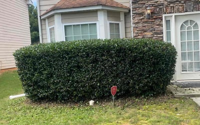 Photo of Brittany H.'s yard after getting landscaping in Atlanta, GA