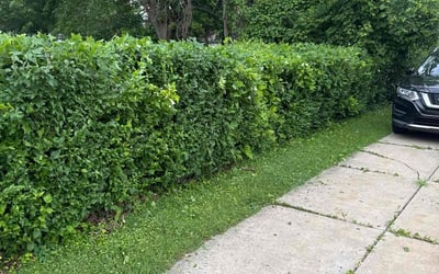 Photo of Eric R.'s yard after getting landscaping in Euclid, OH