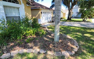 Photo of Cole D.'s yard after getting landscaping in Tangerine, FL