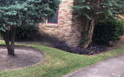 Photo of Alicia B.'s yard after getting landscaping in Hankamer, TX
