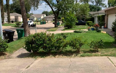 Photo of Aaron S.'s yard after getting landscaping in Hankamer, TX