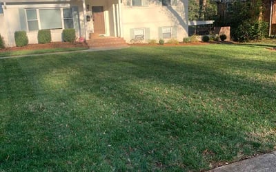 Photo of Michael W.'s yard after getting landscaping in Mount Mourne, NC