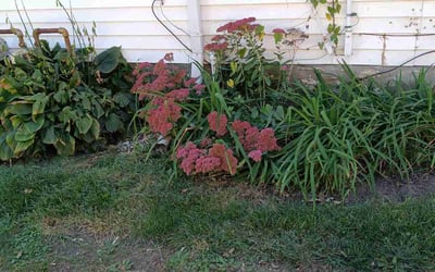 Photo of Jon C.'s yard after getting landscaping in Kidder, MO