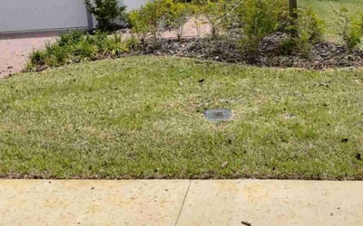 Photo of William T.'s yard after getting landscaping in Mid Florida, FL
