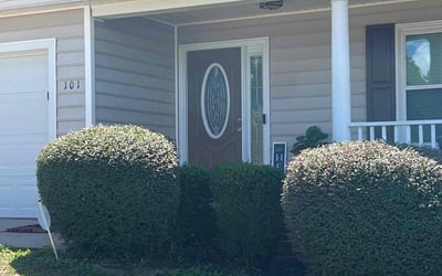 Photo of Tara C.'s yard after getting tree care in Columbia, SC