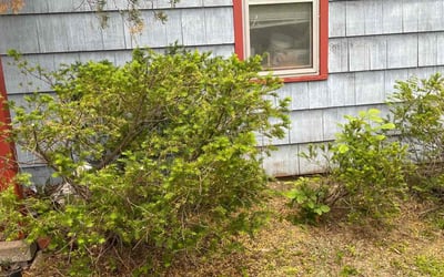 Photo of David P.'s yard after getting landscaping in Tonganoxie, KS